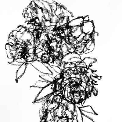 Rhonda Short | Painter