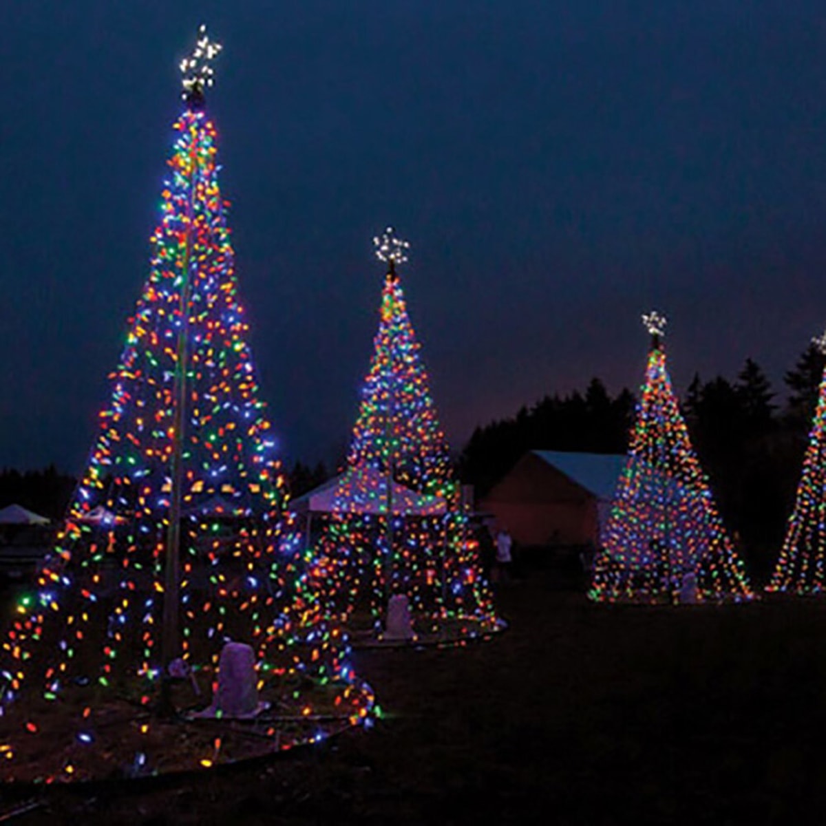 Supported Tsawwassen Rotary’s 2020 Gift of Light at Diefenbaker
