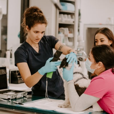 Inland Valley Veterinary Specialists Diagnostics