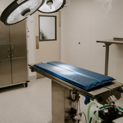 Inland Valley Veterinary Specialists Treatment