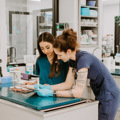 Inland Valley Veterinary Specialists Team