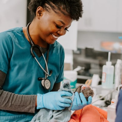 Inland Valley Veterinary Specialists Treatment