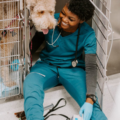 Inland Valley Veterinary Specialists Kennel