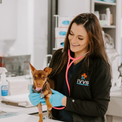 Inland Valley Veterinary Specialists Patients