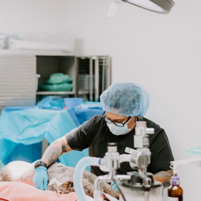 Inland Valley Veterinary Specialists Treatment