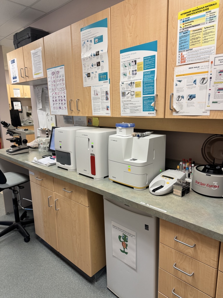 Our Lab Room