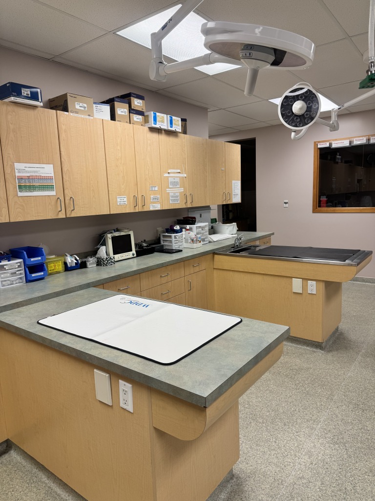 Our Treatment Room