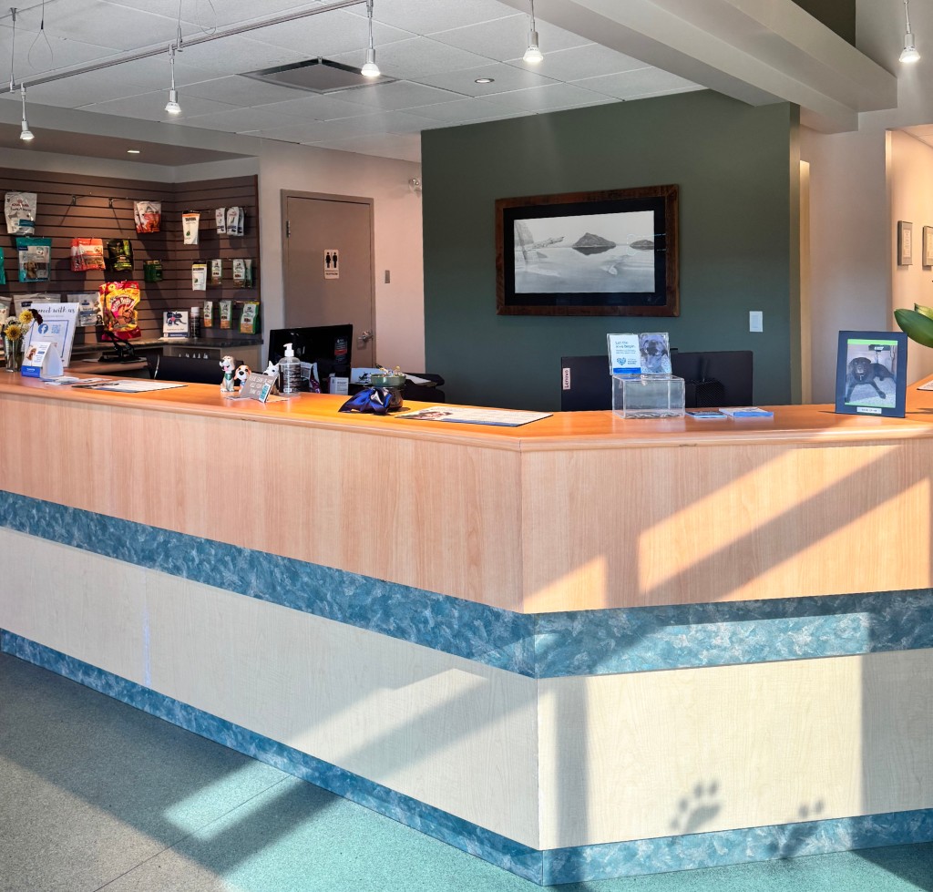 Our Reception Area