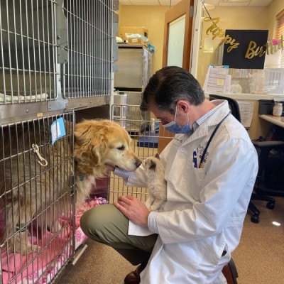 Dr. Conor McNeill, Hope Advanced Veterinary Center