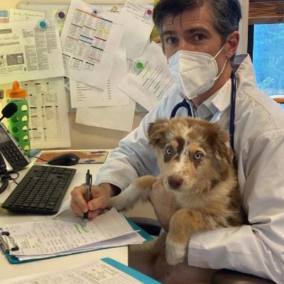 Dr. Conor McNeill, Hope Advanced Veterinary Center