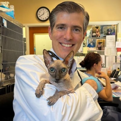 Dr. Conor McNeill, Hope Advanced Veterinary Center