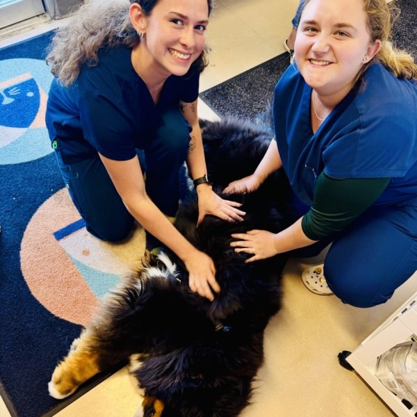 Staff Showing a Patients Some Love
