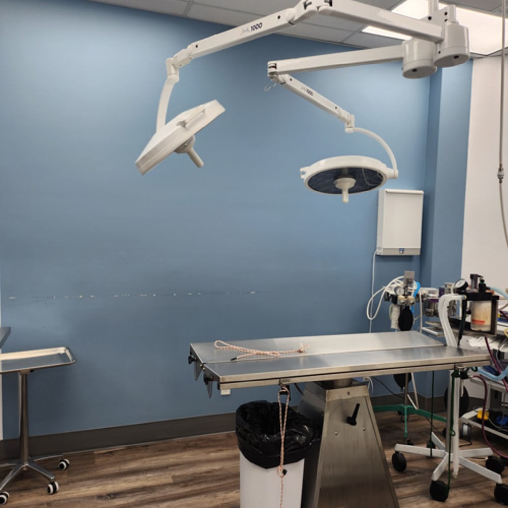 Burlington Veterinary Emergency & Referral Hospital Operatory