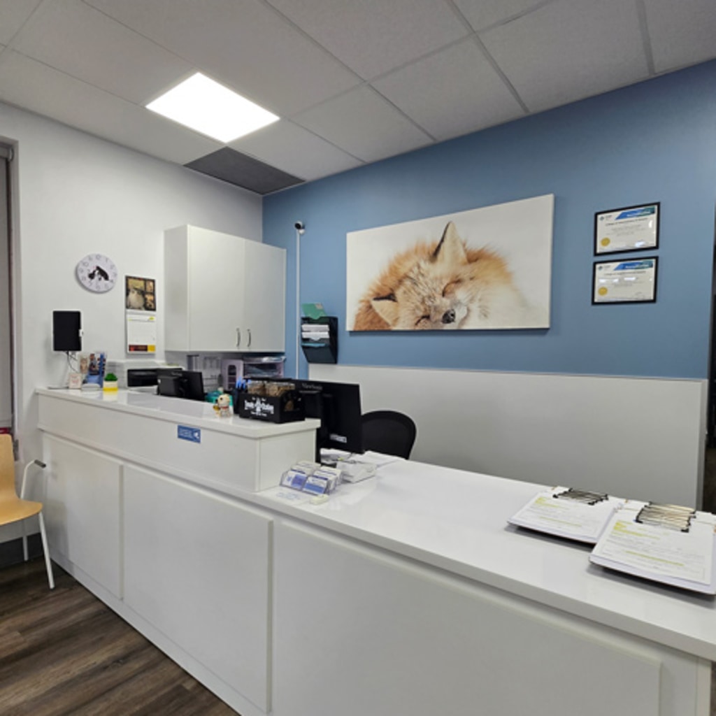 Burlington Veterinary Emergency & Referral Hospital Front Desk
