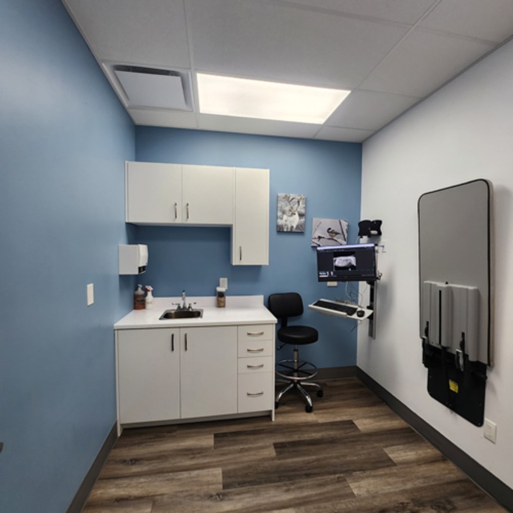 Burlington Veterinary Hospital Treatment room