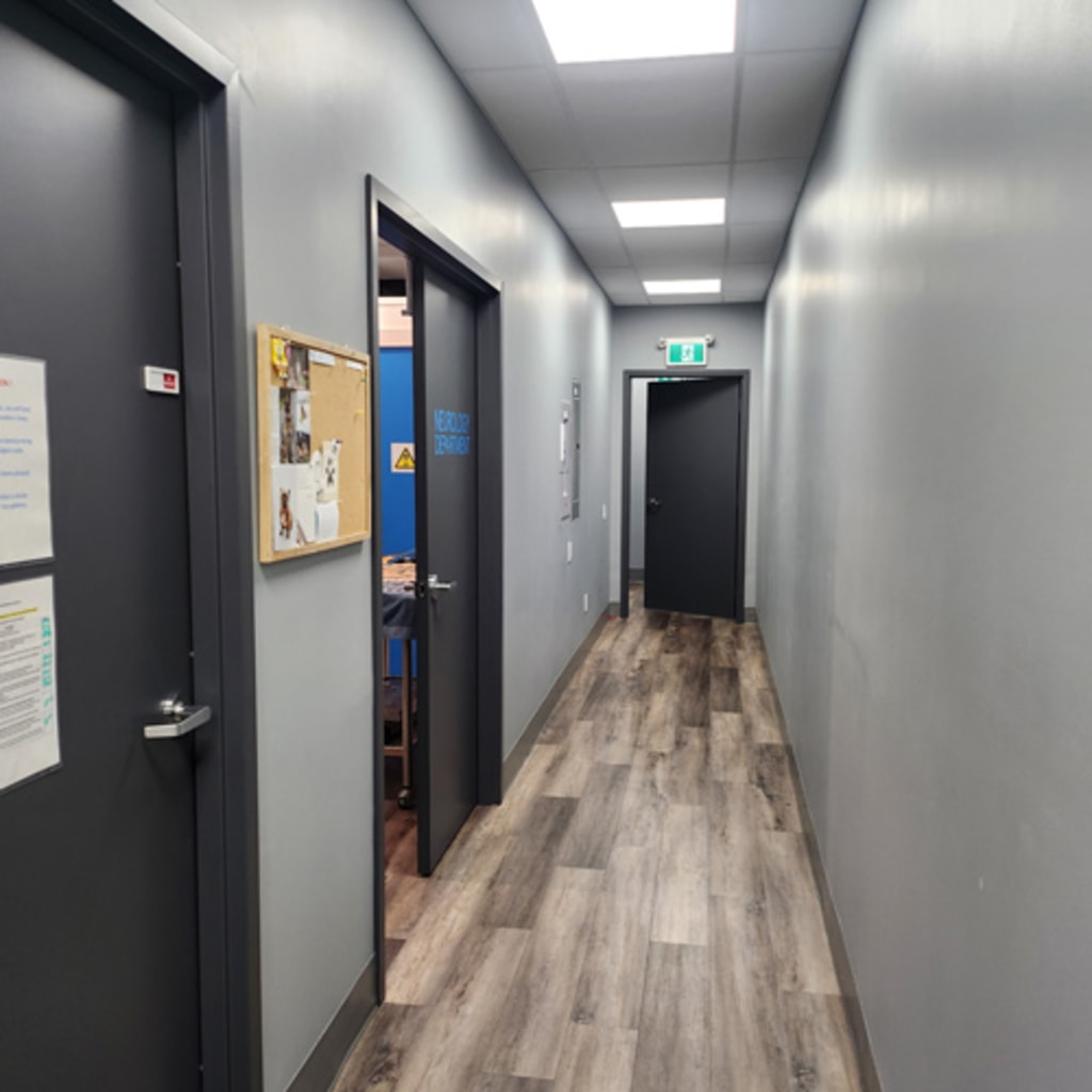 Burlington Veterinary Hospital  Hallway