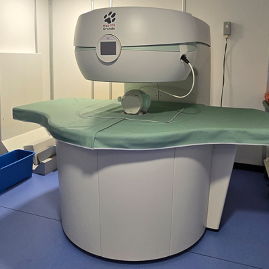 Burlington Veterinary Hospital MRI