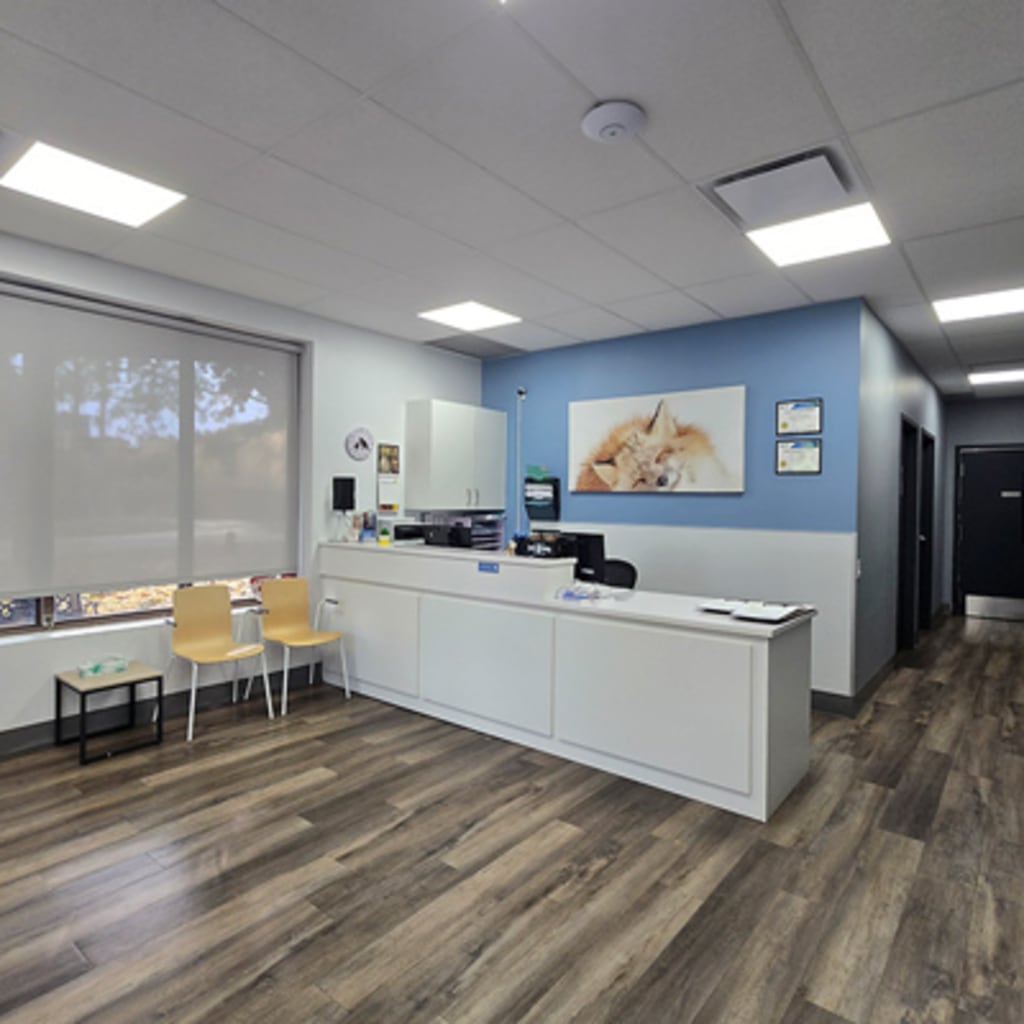 Burlington Veterinary Hospital  Reception
