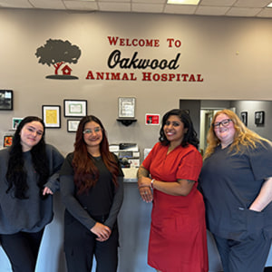 Oakwood Animal Hospital Reception Team