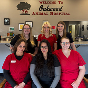Oakwood Animal Hospital Technician Team