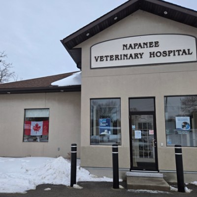 Napanee Veterinary Hospital Exterior