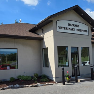 Napanee Veterinary Hospital Exterior