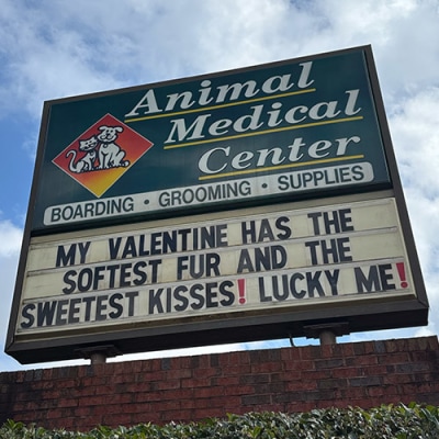 Animal Medical Center of Cumming Funny Sign