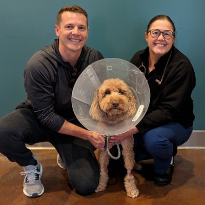 Veterinary Medical and Surgical Group (VMSG) Pet Gallery