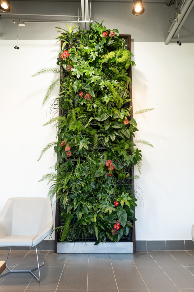 Plant wall at Oliver Park Dental