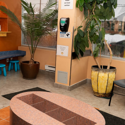 Cedars Dental Waiting area