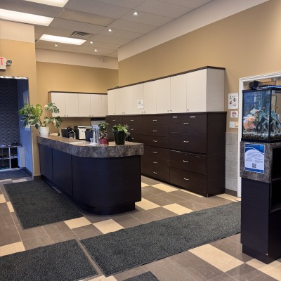 Reception area at Herongate Dental