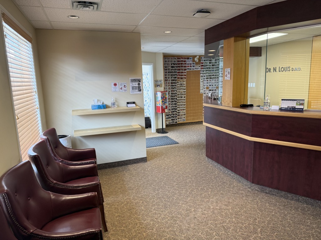 Waiting area at Dr. Naji Louis Family Dentistry
