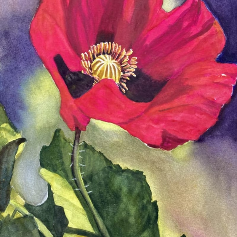 Hanneke Koonstra | Painter