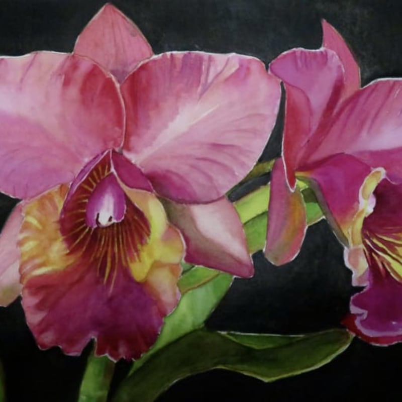 Hanneke Koonstra | Painter