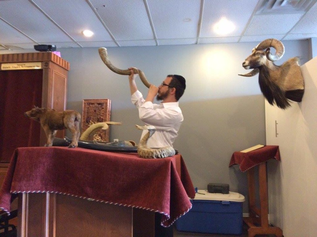 J-Fun Sunday, Jewish Niagara