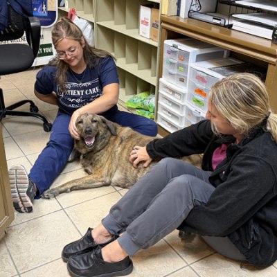 All Creatures Veterinary Hospital Hospital Staff 1