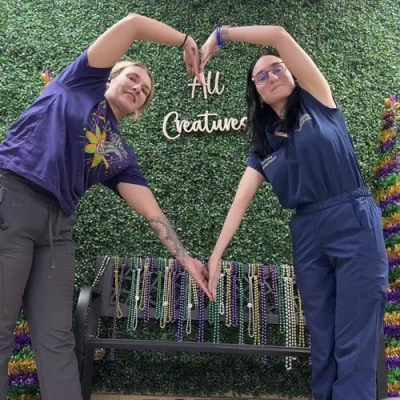 All Creatures Veterinary Hospital Hospital Staff 2