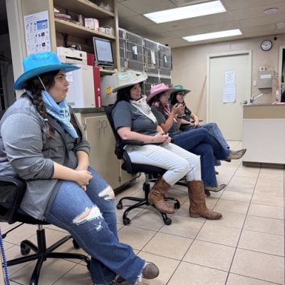 All Creatures Veterinary Hospital Hospital Staff 6