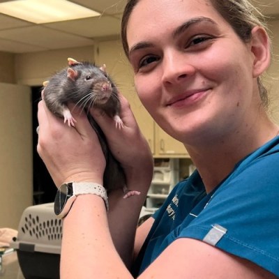 All Creatures Veterinary Hospital Hospital Staff 19