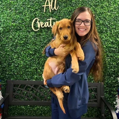 All Creatures Veterinary Hospital Hospital Staff 21