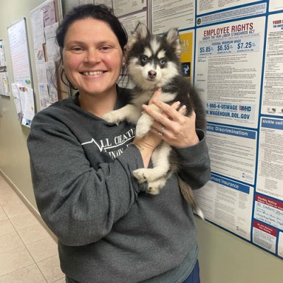 All Creatures Veterinary Hospital Hospital Staff 30