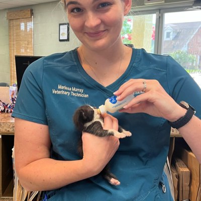 All Creatures Veterinary Hospital Hospital Staff 31