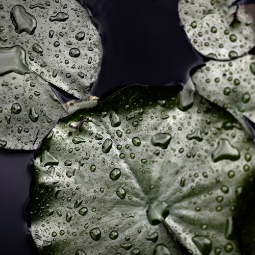 Carmel Brennan | Painter, Photographer & Printmaker