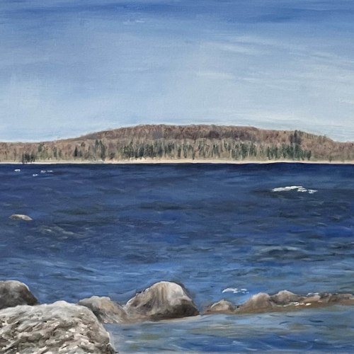 Nancy R Chalut | Painter