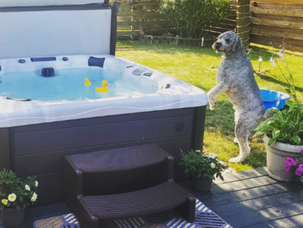 Spa with rubber ducks in it and a dog standing up looking in
