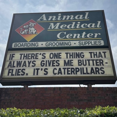 Animal Medical Center of Cumming Funny Sign