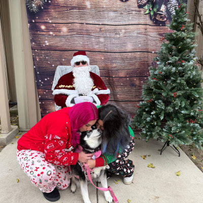 Holiday Cheer at Taylor Veterinary Emergency