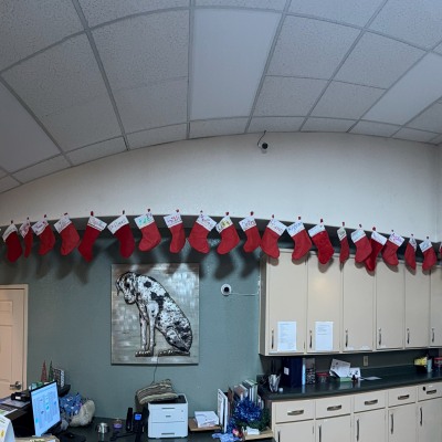 Holiday Cheer at Taylor Veterinary Emergency