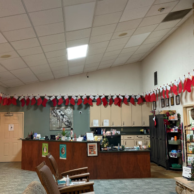 Holiday Cheer at Taylor Veterinary Emergency