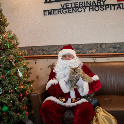 Holiday Cheer at Taylor Veterinary Emergency